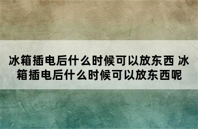 冰箱插电后什么时候可以放东西 冰箱插电后什么时候可以放东西呢